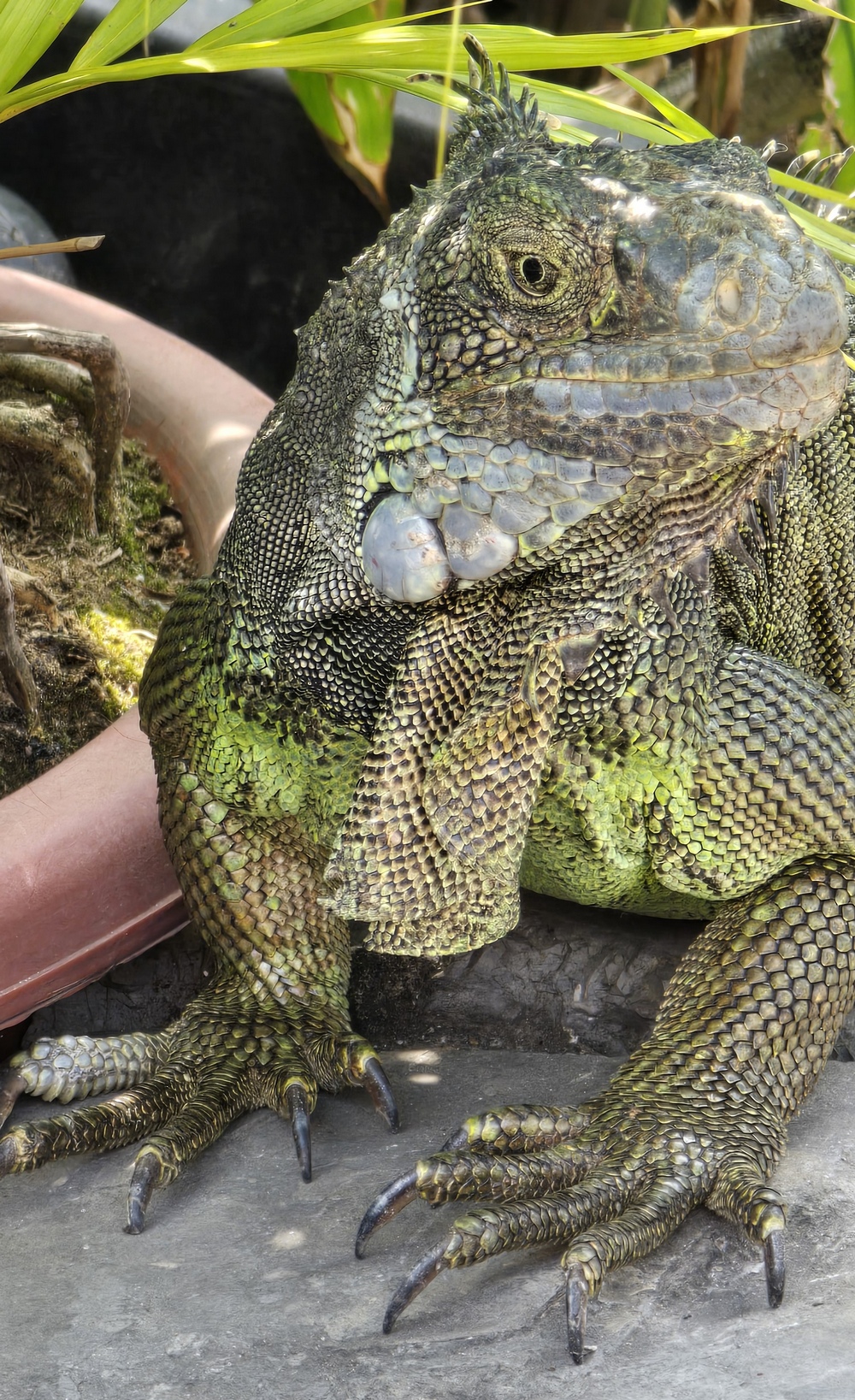 2026-03-28-D Guayaquil 20260328_145447_ji.jpg